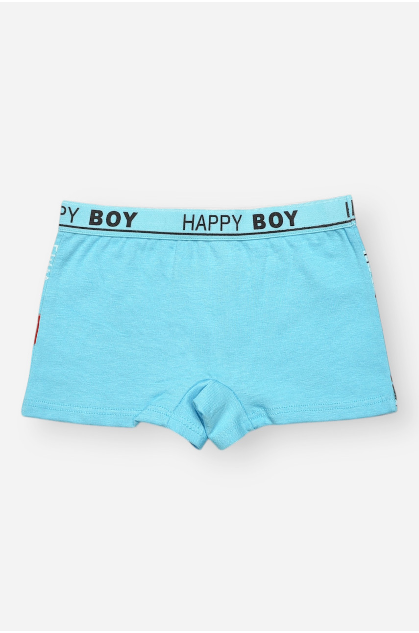 Боксери дитячі для хлопчика блакитного кольору з принтом Z02109 209264