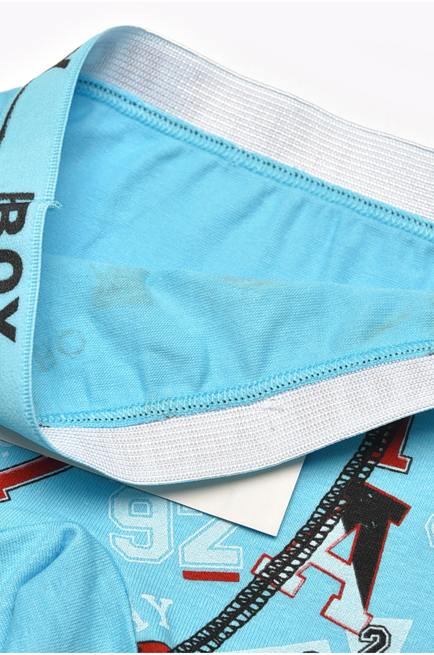 Боксери дитячі для хлопчика блакитного кольору з принтом Z02109 209264 Боксери дитячі для хлопчика блакитного кольору з принтом Z02109 209264