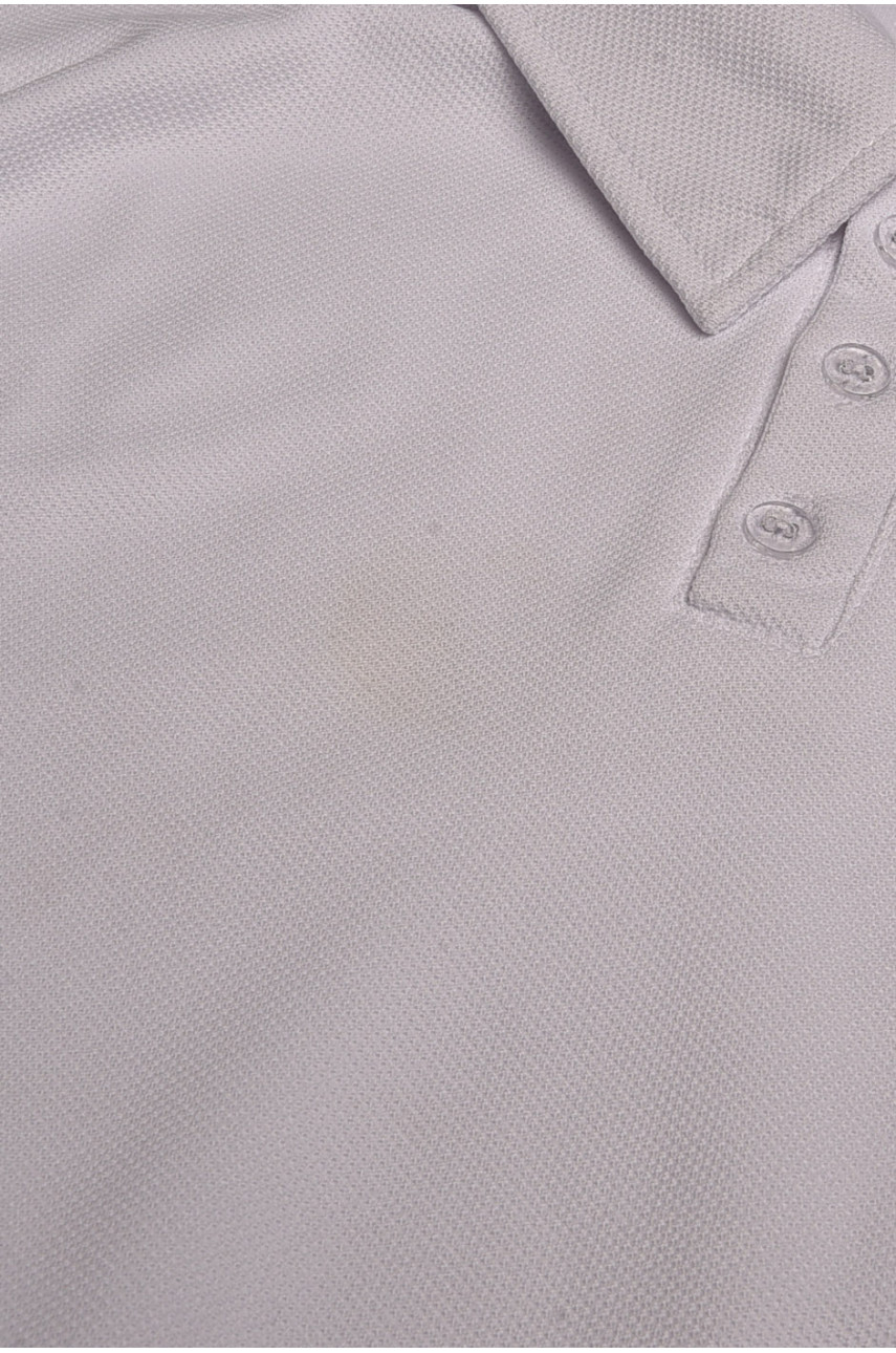 Футболка чоловіча поло білого кольору Уцінка 209315 Футболка чоловіча поло білого кольору Уцінка 209315