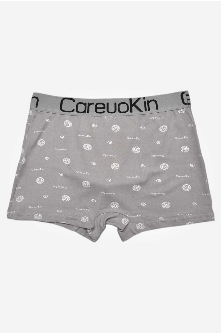 Боксери чоловічі сірого кольору з принтом А1695 209519