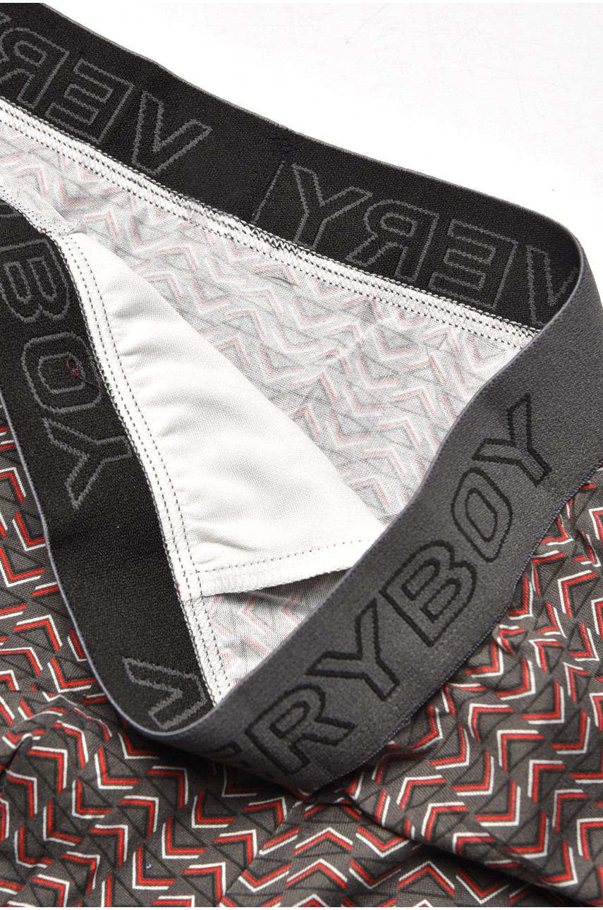 Боксеры мужские серого цвета 6210 209699 Боксеры мужские серого цвета 6210 209699