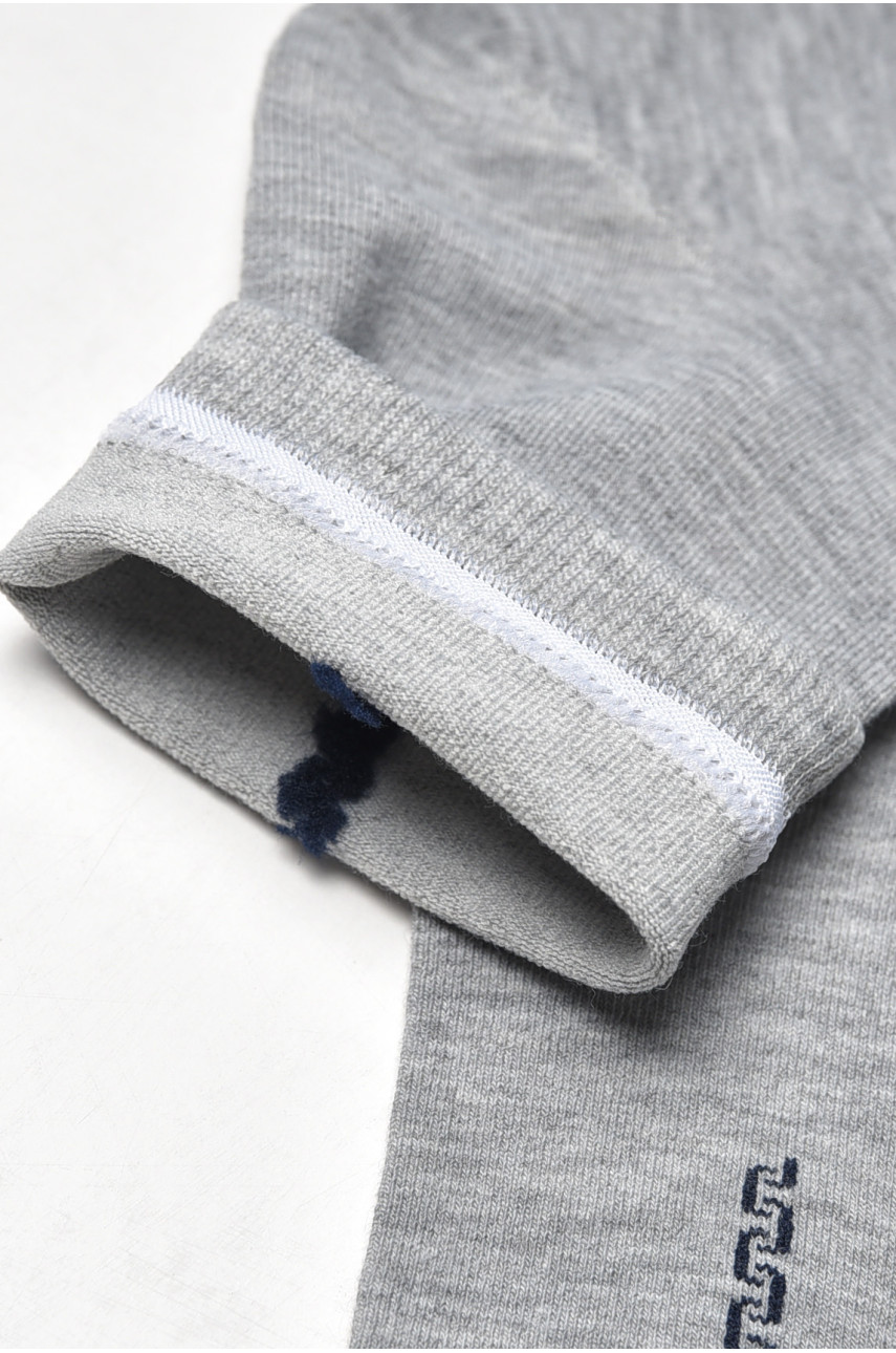 Носки мужские демисезонные серого цвета YH24-02 209753 Носки мужские демисезонные серого цвета YH24-02 209753