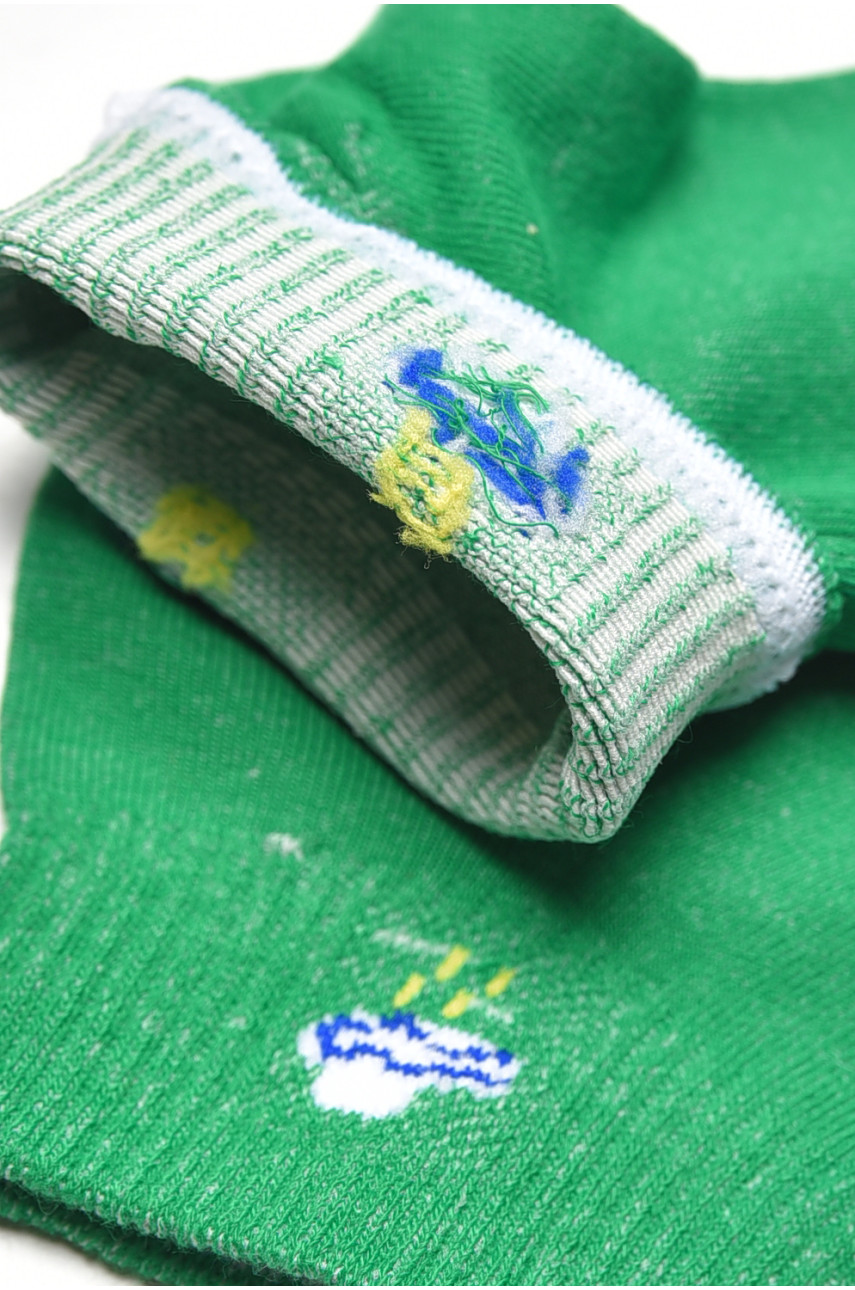 Носки женские демисезонные зеленого цвета YH22-06 209801