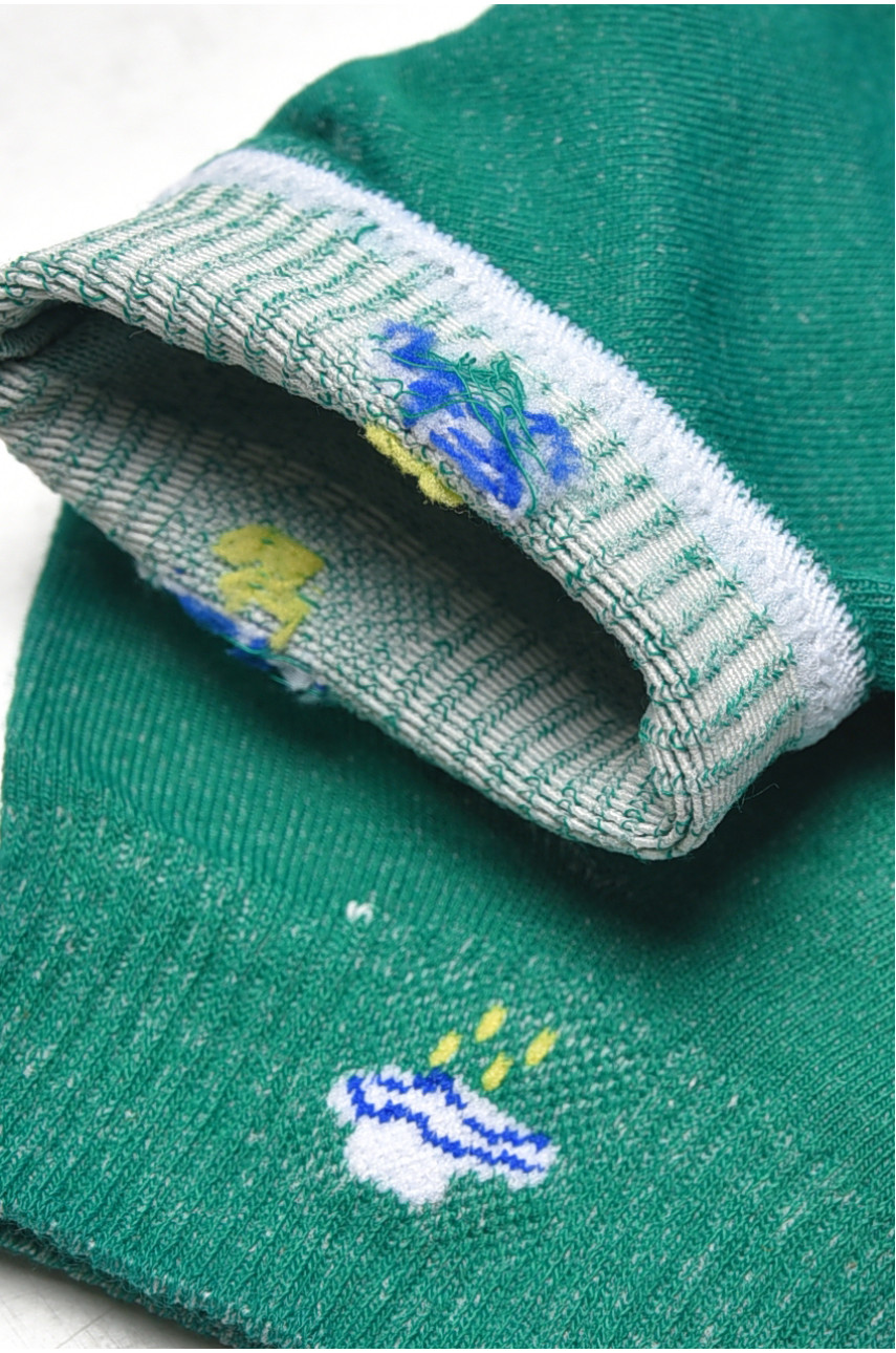 Носки женские демисезонные зеленого цвета YH22-06 209806