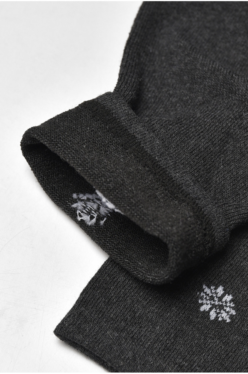 Носки мужские демисезонные тёмно-серого цвета L191 209838