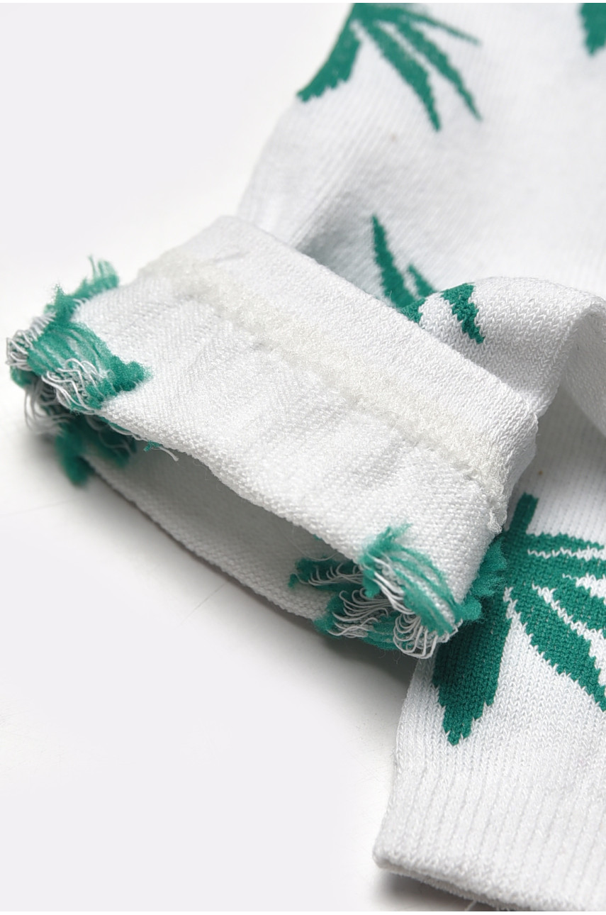 Шкарпетки чоловічі демісезонні білого кольору L167 209850