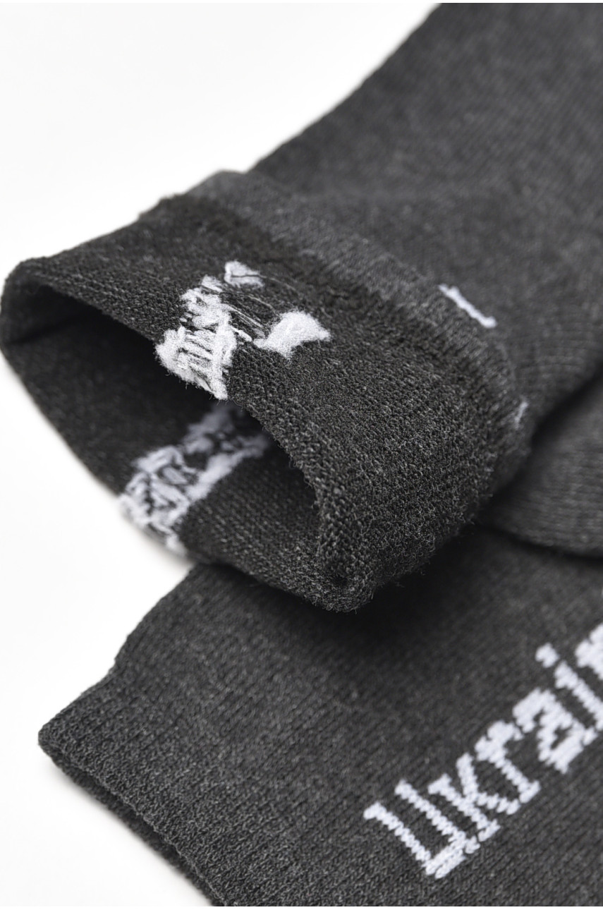 Носки мужские демисезонные тёмно-серого цвета L189 209864