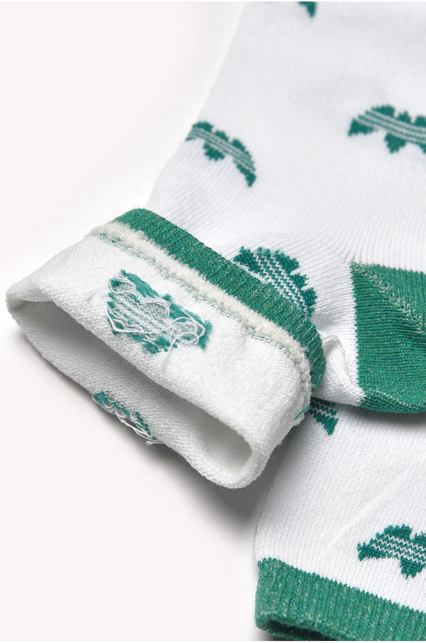 Шкарпетки жіночі демісезонні білого кольору L104K 209869