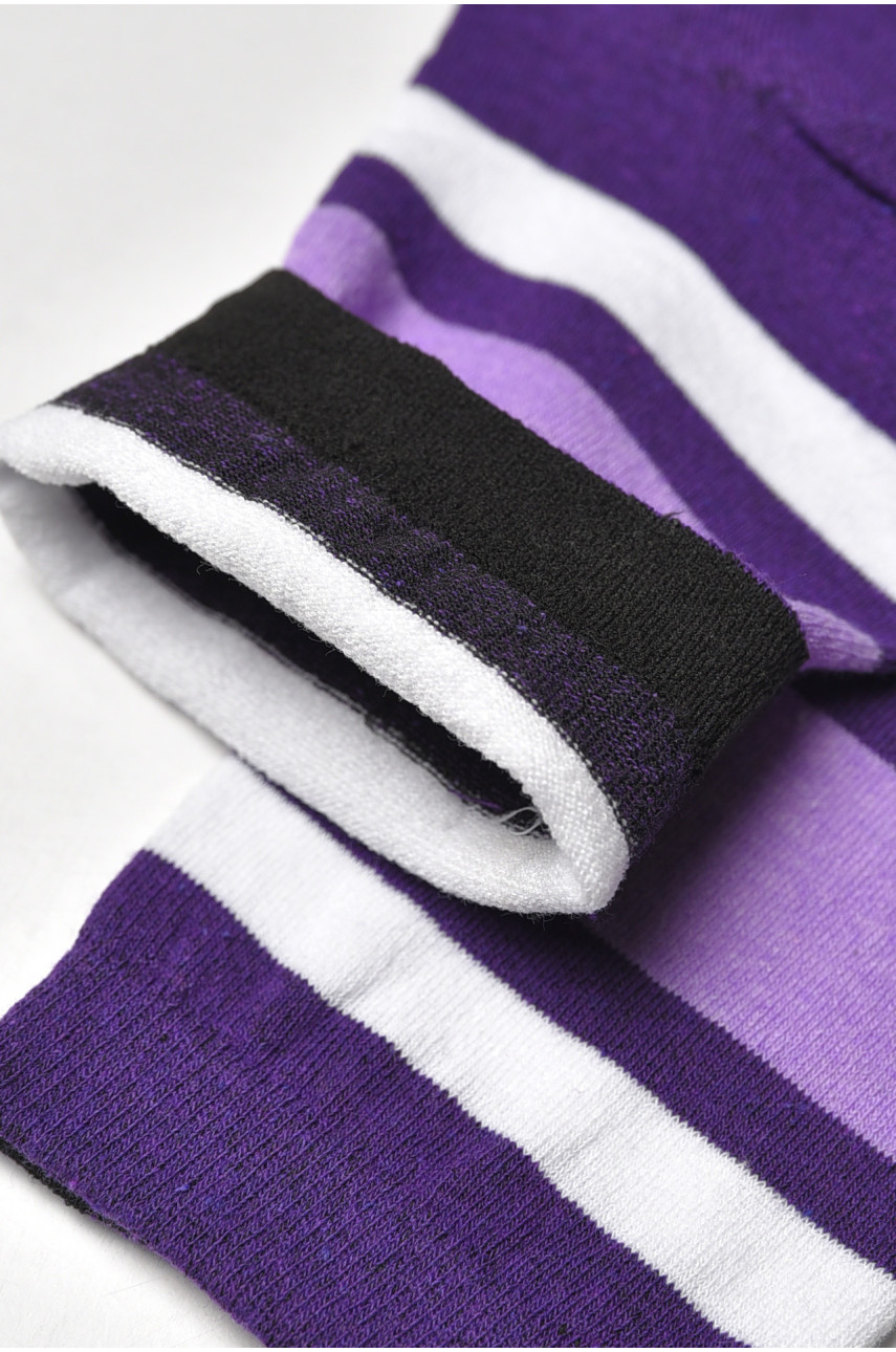 Шкарпетки жіночі демісезонні фіолетового кольору L-810 209871