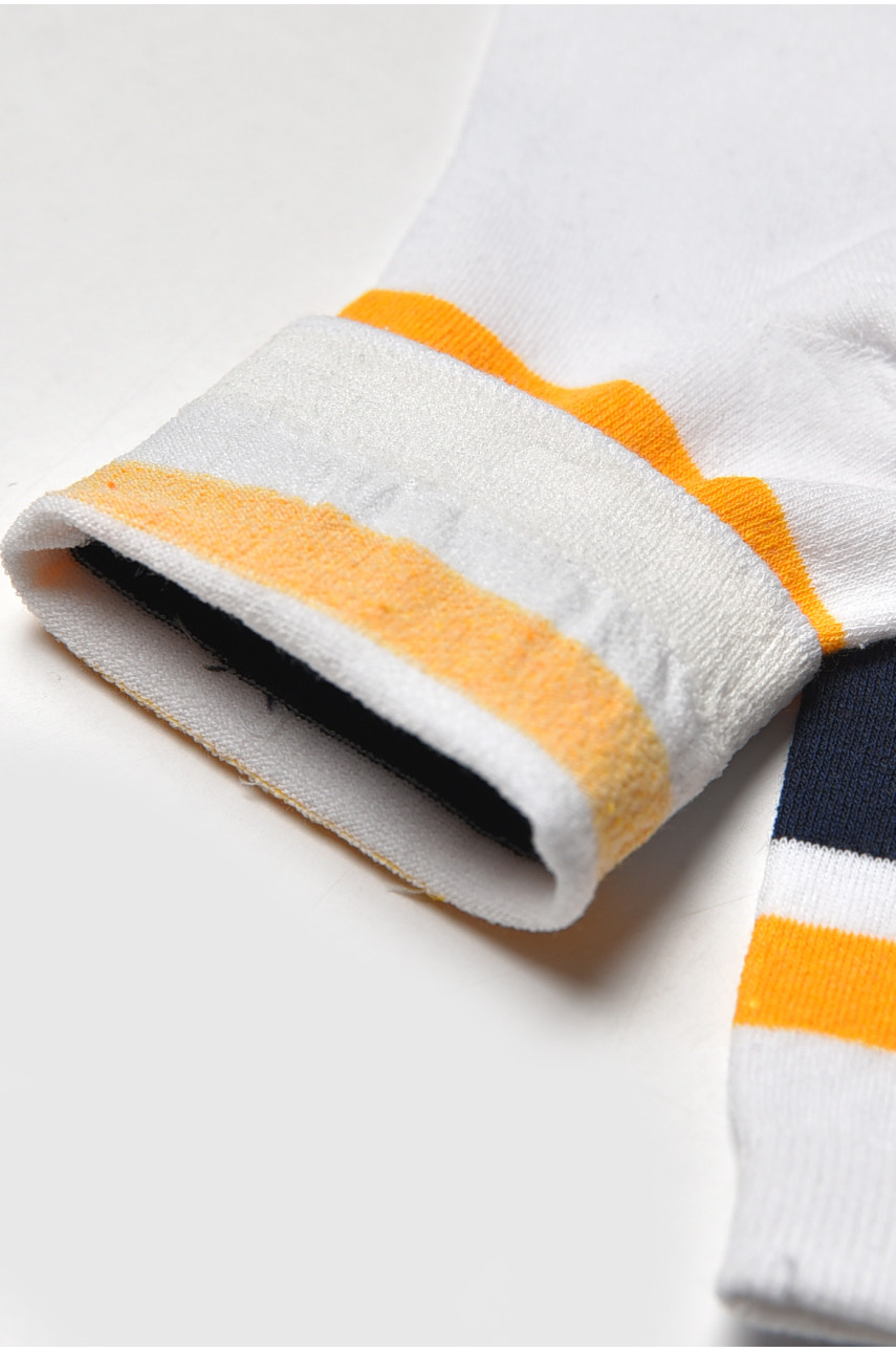 Шкарпетки жіночі демісезонні білого кольору L-810 209874 Шкарпетки жіночі демісезонні білого кольору L-810 209874