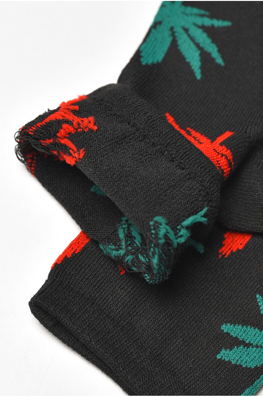 Шкарпетки жіночі демісезонні чорного кольору L168 209875