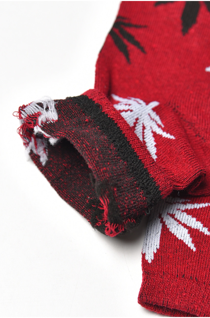 Шкарпетки жіночі демісезонні бордового кольору L168 209877