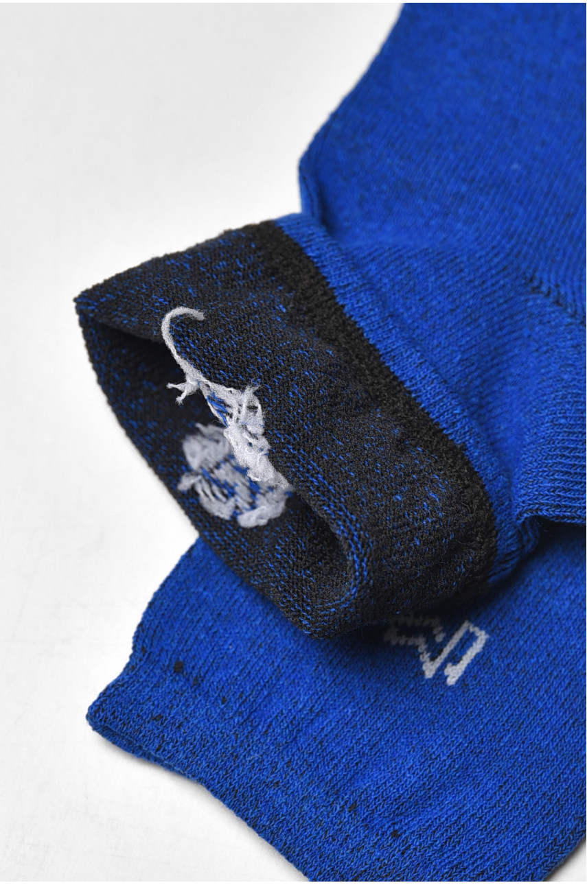 Шкарпетки жіночі демісезонні синього кольору L182 209880 Шкарпетки жіночі демісезонні синього кольору L182 209880