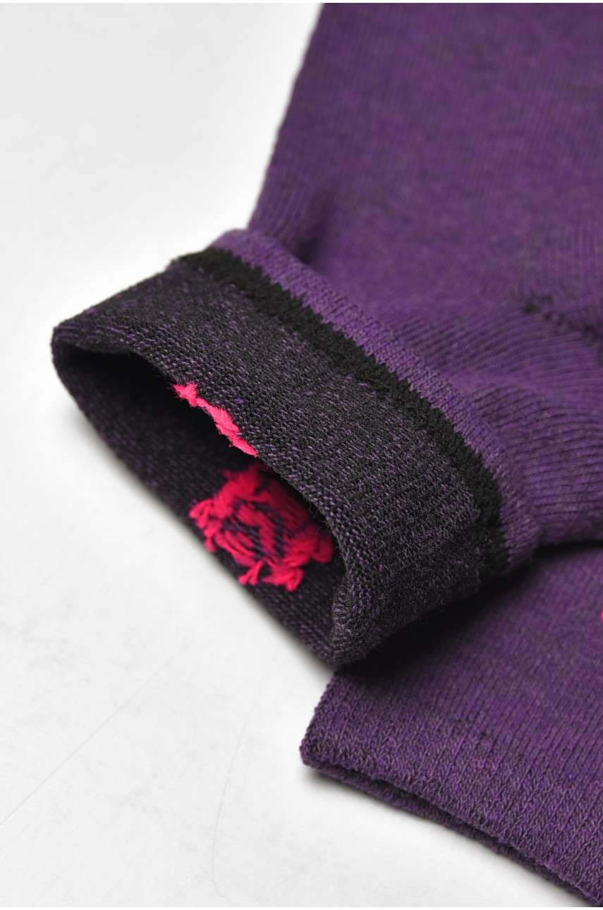 Шкарпетки жіночі демісезонні фіолетового кольору L182 209881
