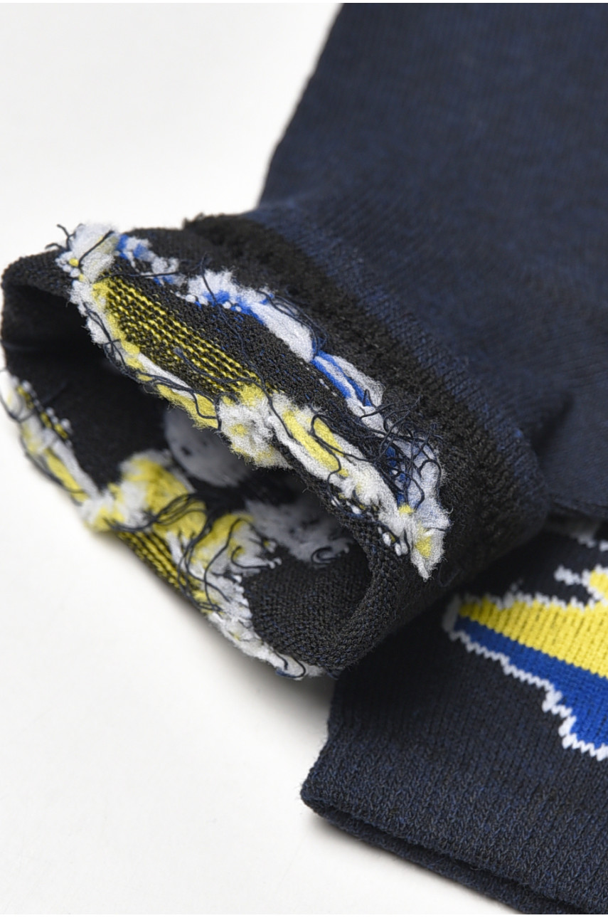 Шкарпетки жіночі демісезонні темно-синього кольору L188-2 209884