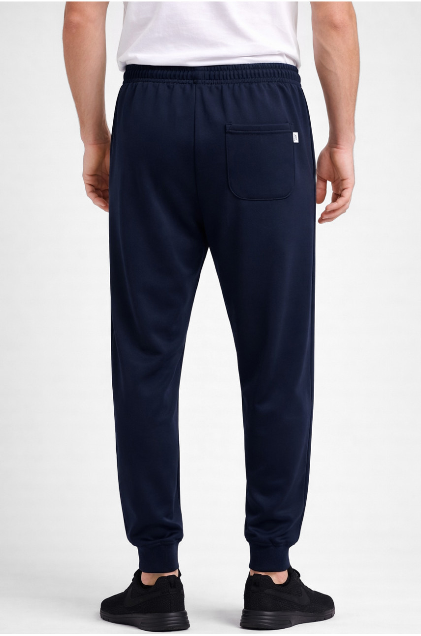 Спортивные штаны мужские тёмно-синего цвета 1403-5 210063