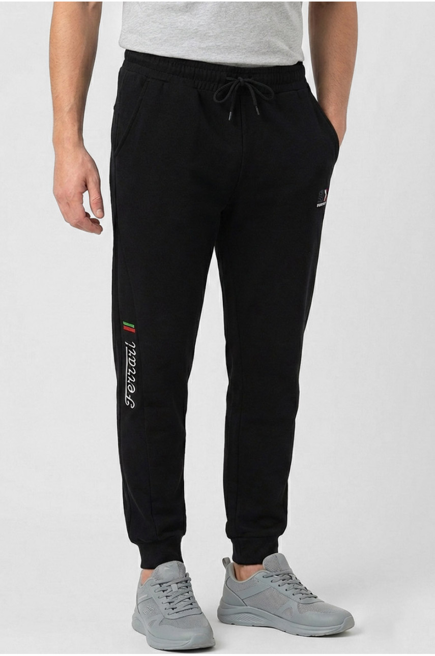 Спортивные штаны мужские на флисе черного цвета CS-2203 210373