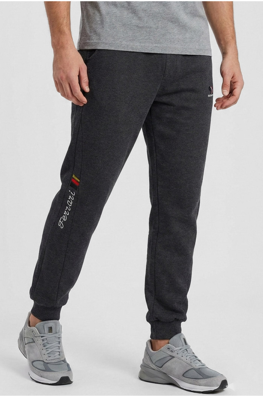 Спортивные штаны мужские на флисе тёмно-серого цвета CS-2203 210375