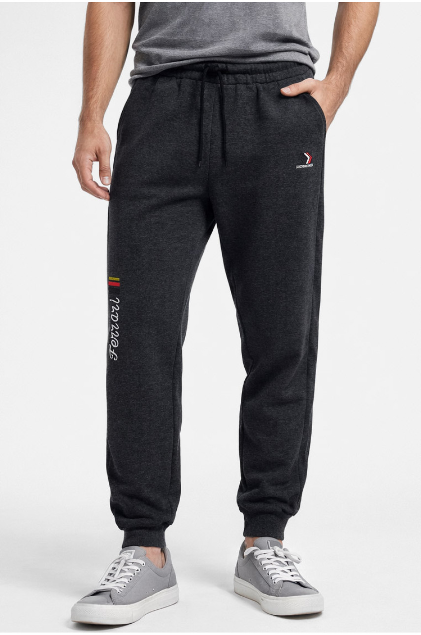 Спортивные штаны мужские на флисе тёмно-серого цвета CS-2203 210375