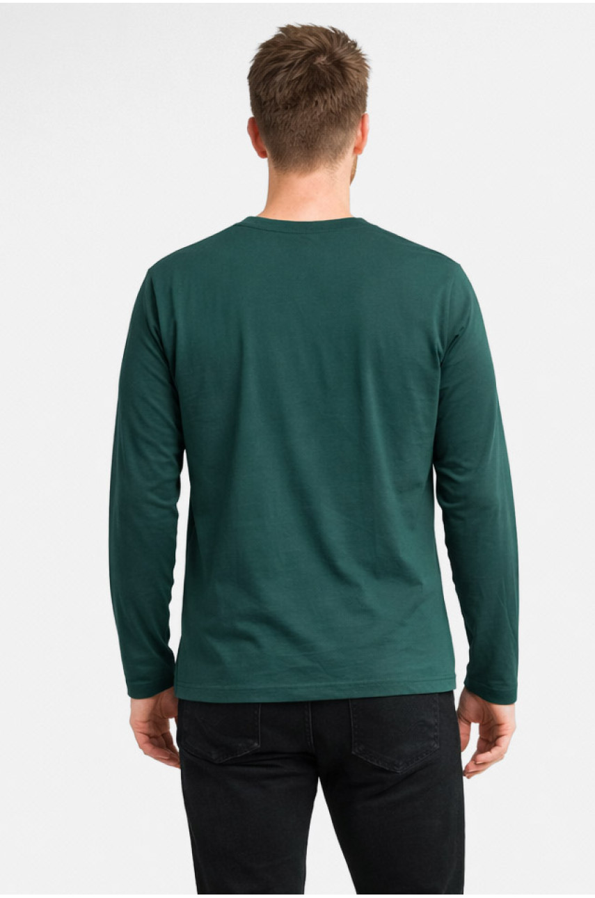 Кофта мужская однотонная зеленого цвета GP105 211226 Кофта мужская однотонная зеленого цвета GP105 211226