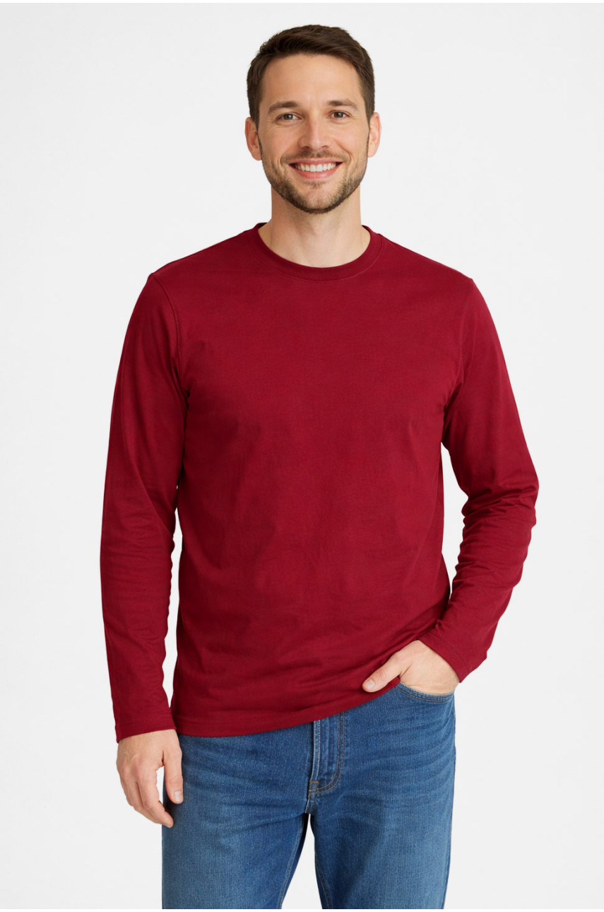 Кофта мужская полубатальная однотонная бордового цвета GP105 211231