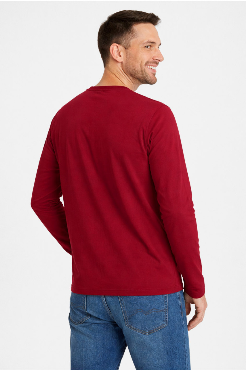 Кофта мужская полубатальная однотонная бордового цвета GP105 211231