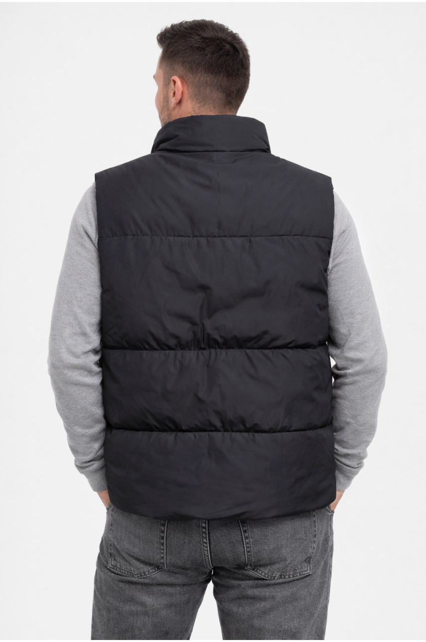 Жилетка мужская демисезонная черного цвета b-1 211399