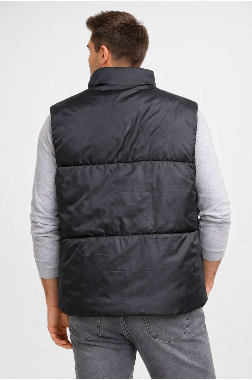 Жилетка мужская демисезонная черного цвета b-1 211400