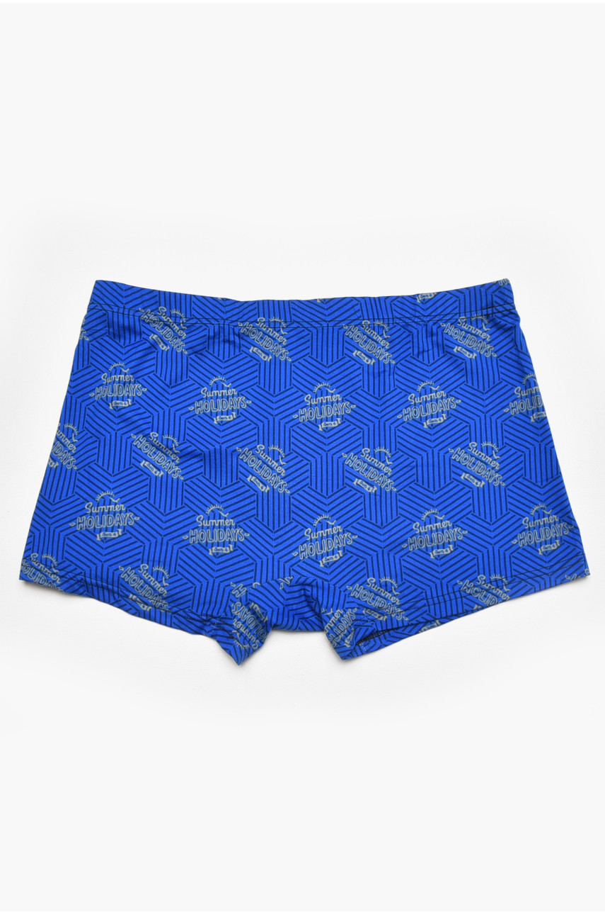 Боксери чоловічі синього кольору з принтом 211650