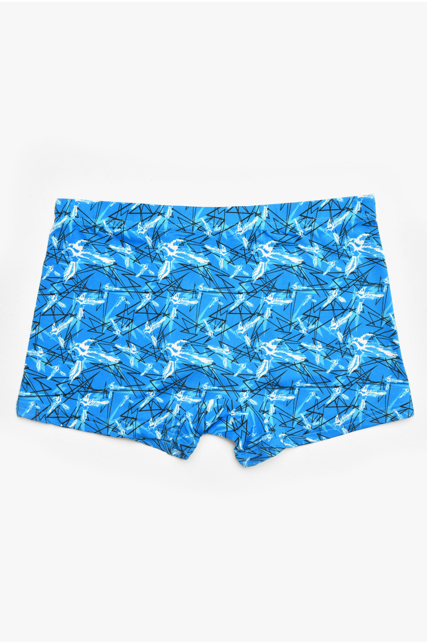 Боксеры мужские голубого цвета с принтом 211699