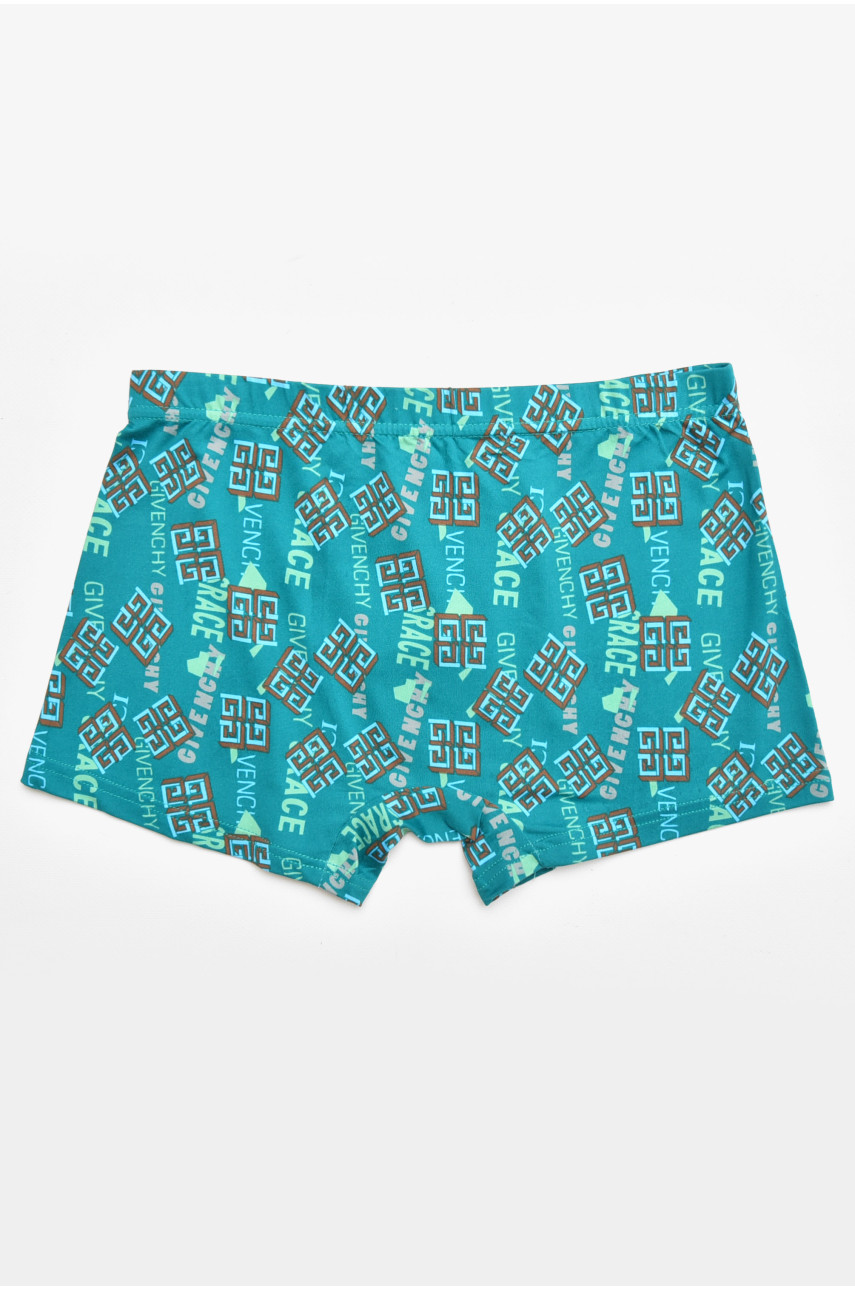 Боксеры мужские зелёного цвета с принтом 211721