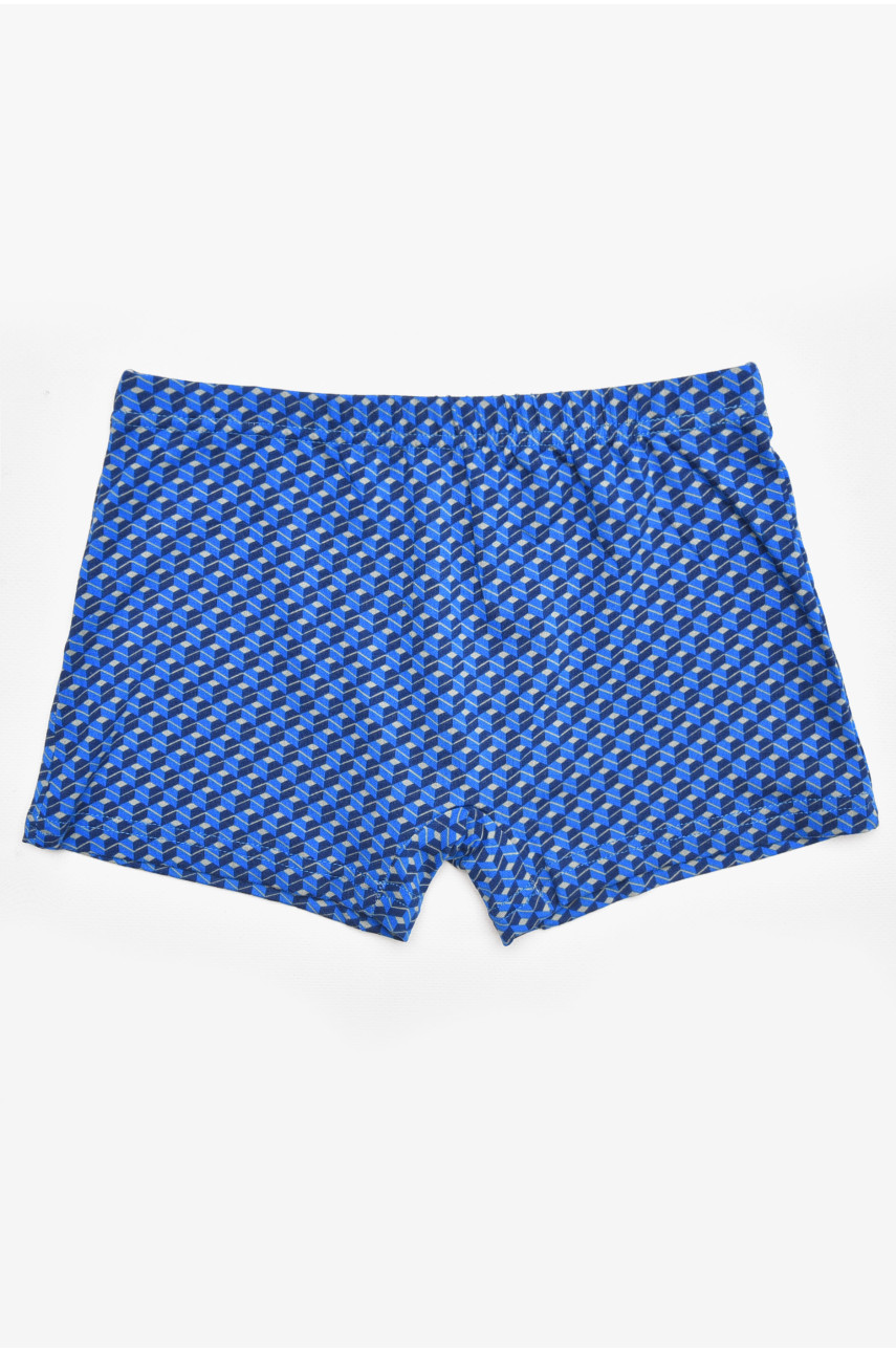 Боксеры детские для мальчика синего цвета с принтом Y6358 211871