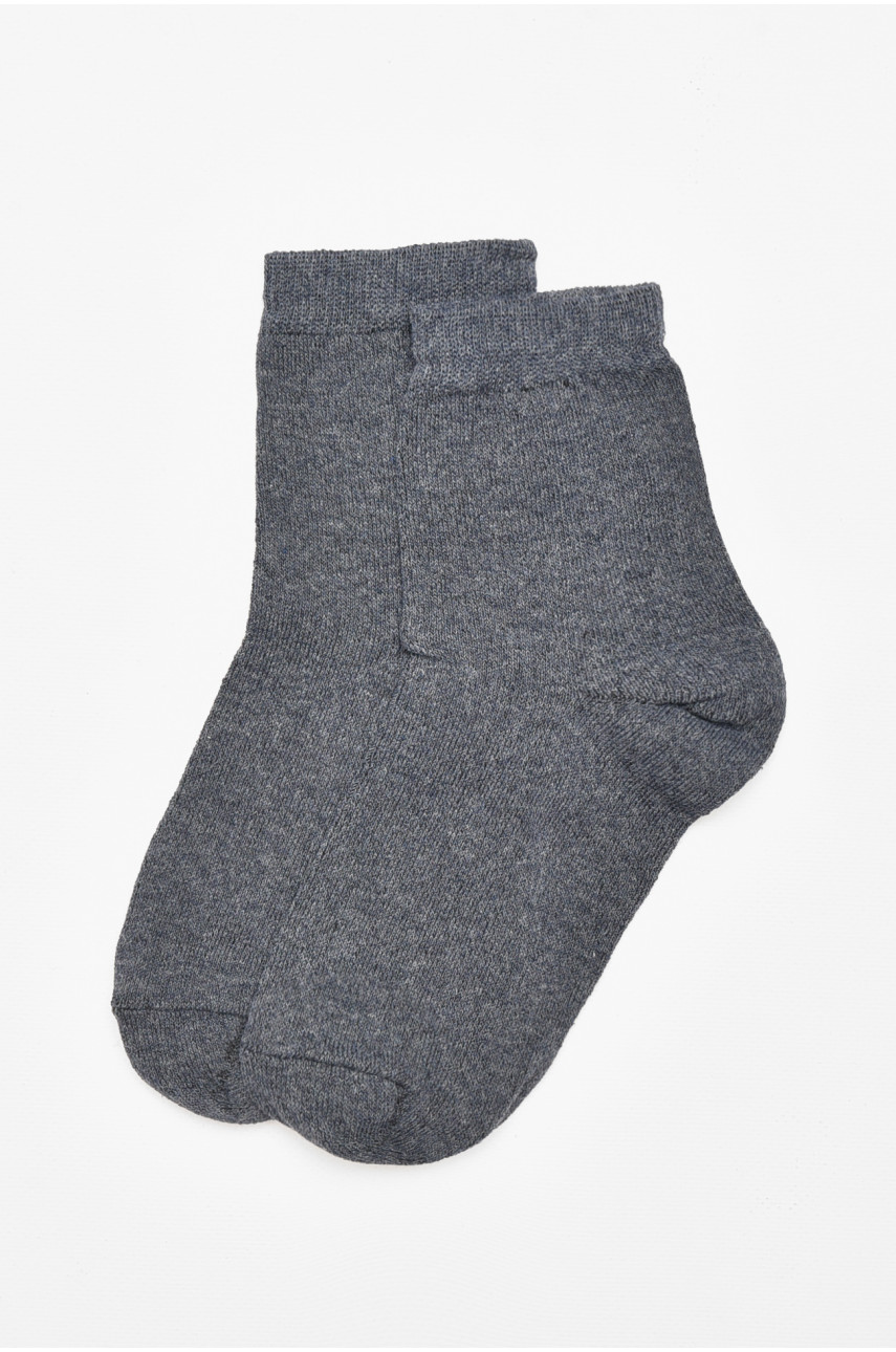 Шкарпетки чоловічі демісезонні синього кольору 212012