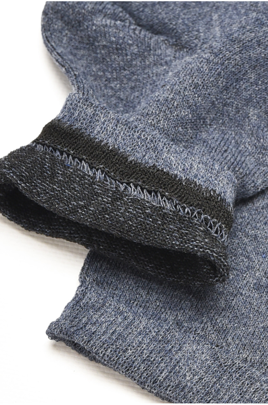 Шкарпетки чоловічі демісезонні синього кольору 212012