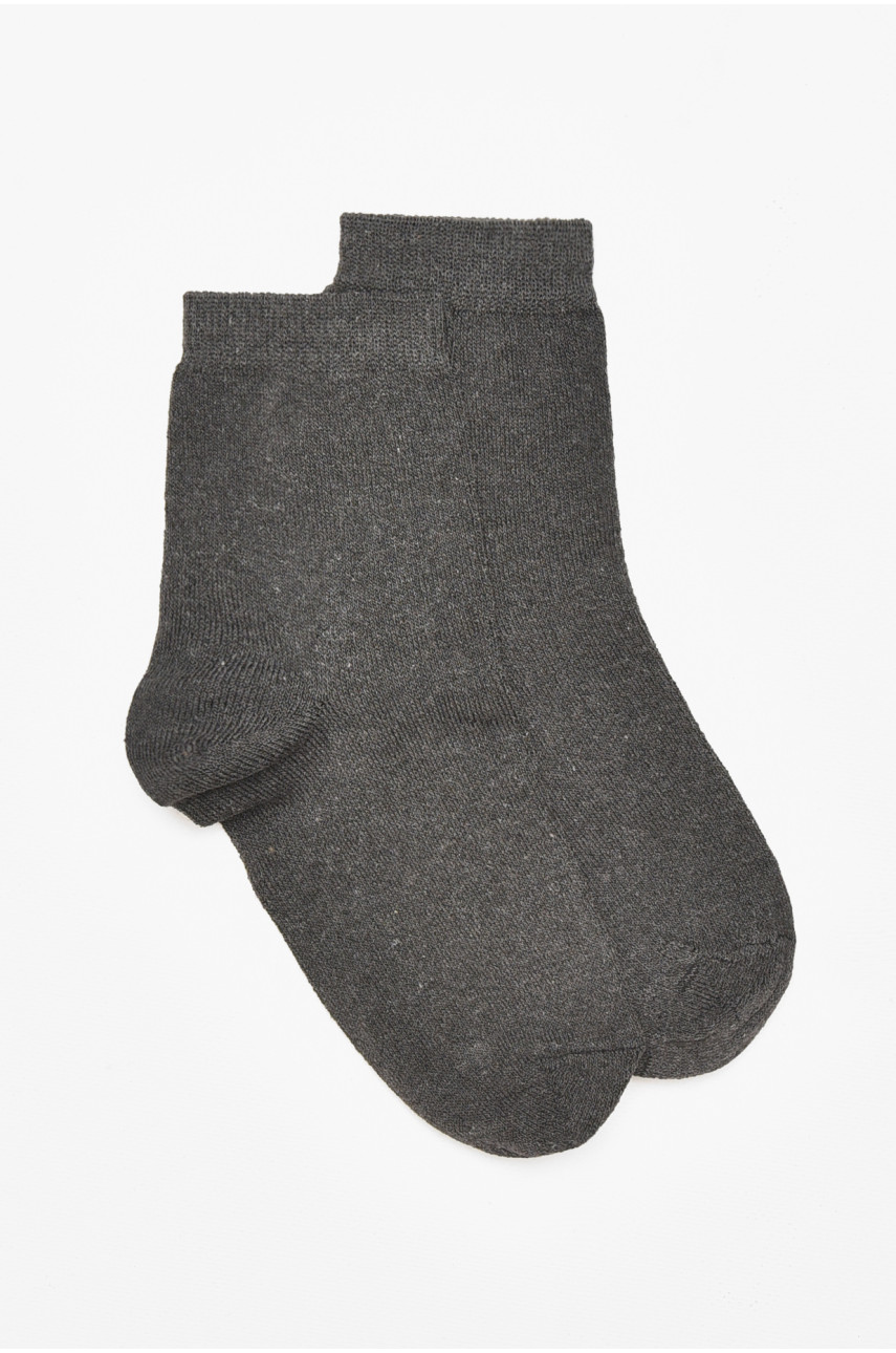 Шкарпетки чоловічі демісезонні темно-сірого кольору 212014