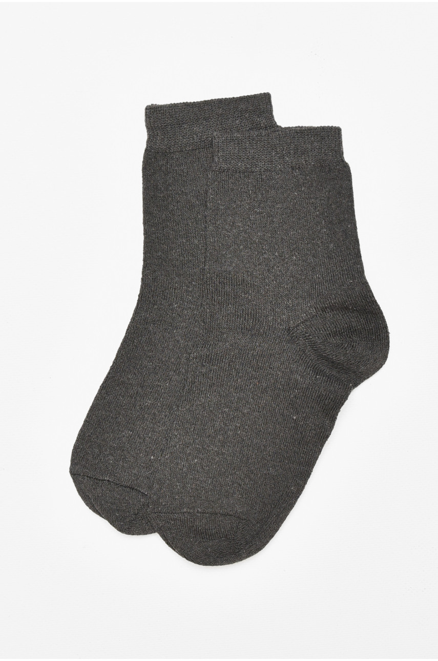 Шкарпетки чоловічі демісезонні темно-сірого кольору 212014