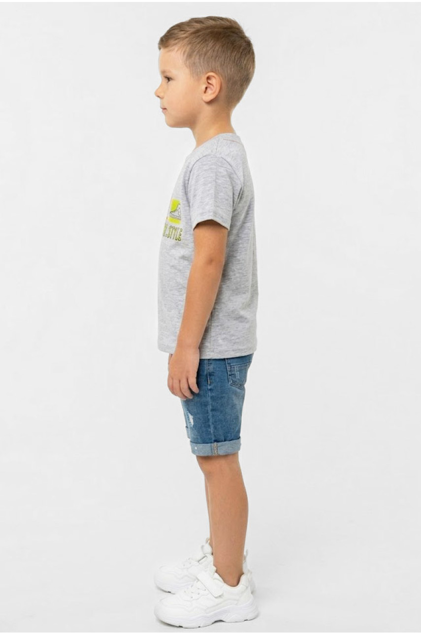 Футболка детская для мальчика серого цвета с принтом 212209