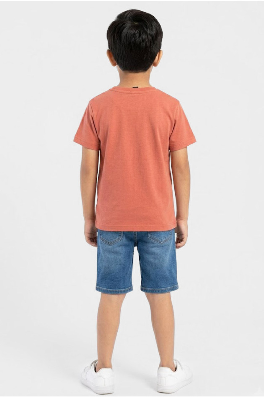 Футболка детская для мальчика терракотового цвета с принтом 212216