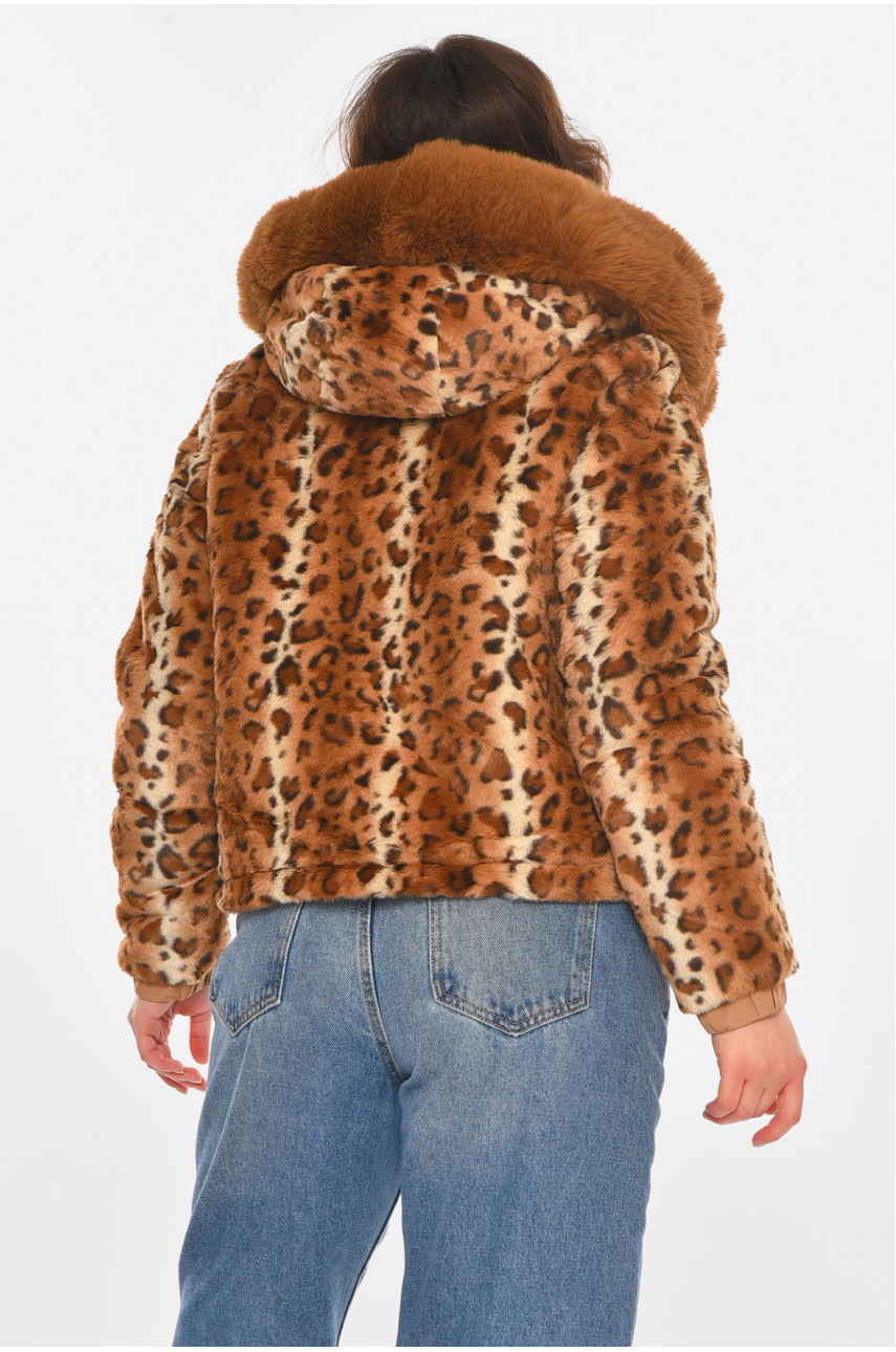 Шубка жіноча демісезонна коричневого кольору з принтом 11768 212452