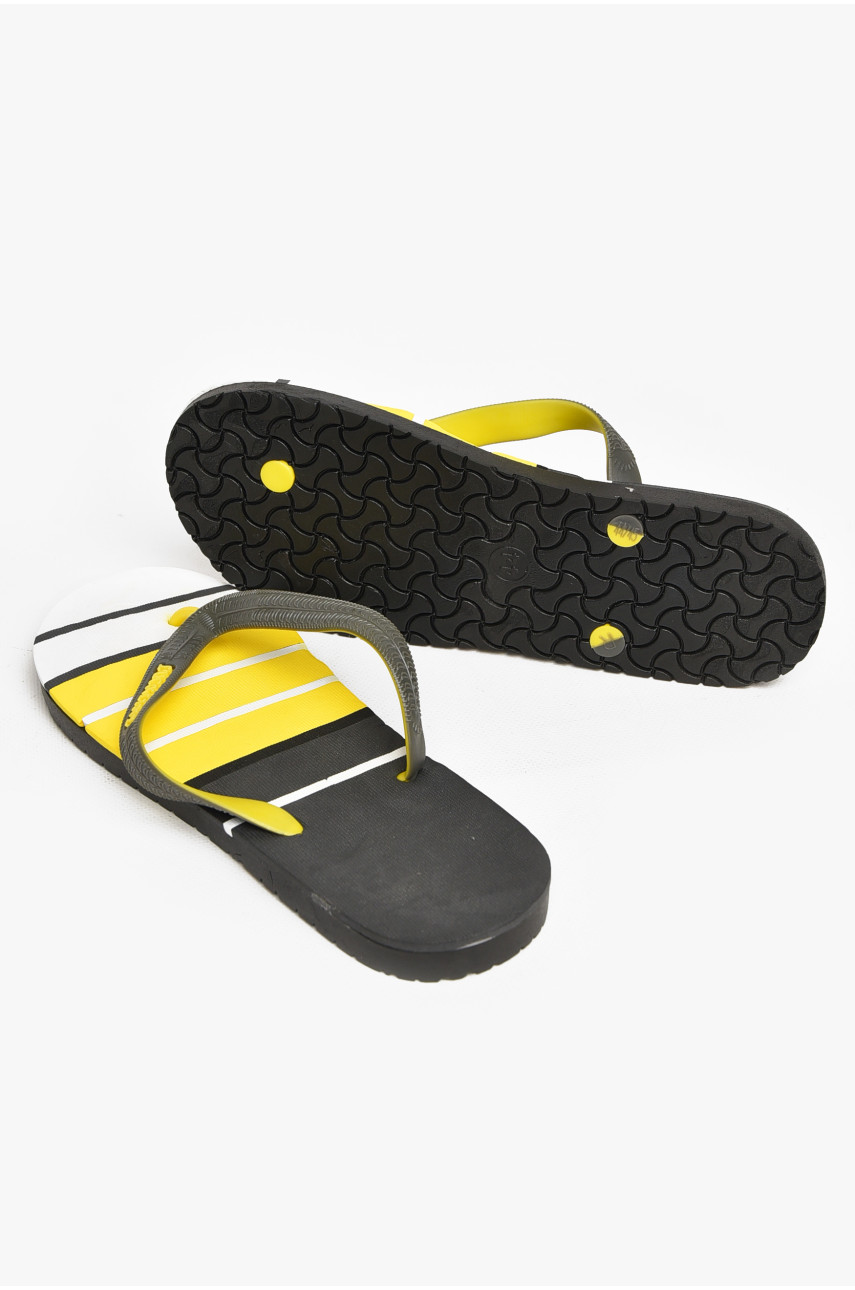 В'єтнамки чоловічі різнокольорові в смужку 2002 212853