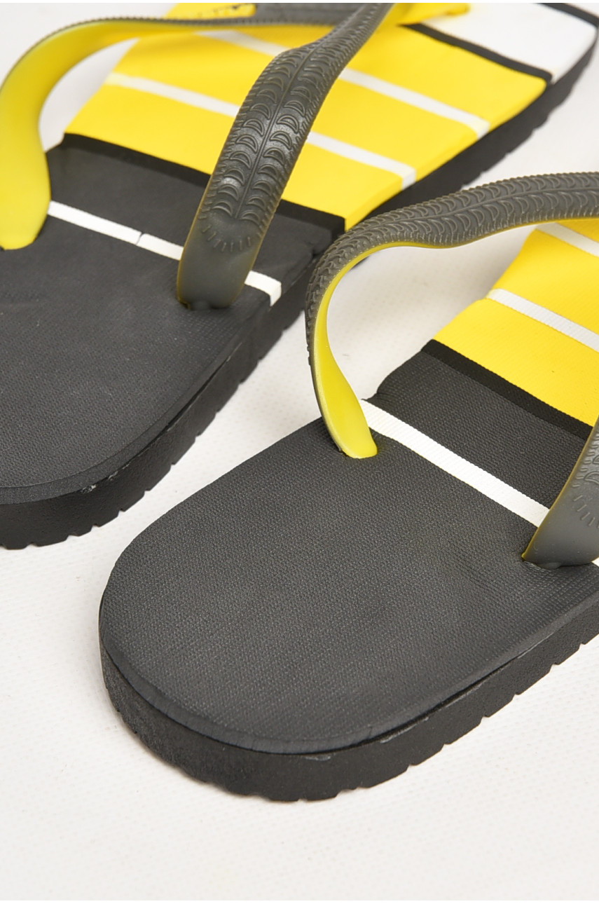 В'єтнамки чоловічі різнокольорові в смужку 2002 212853