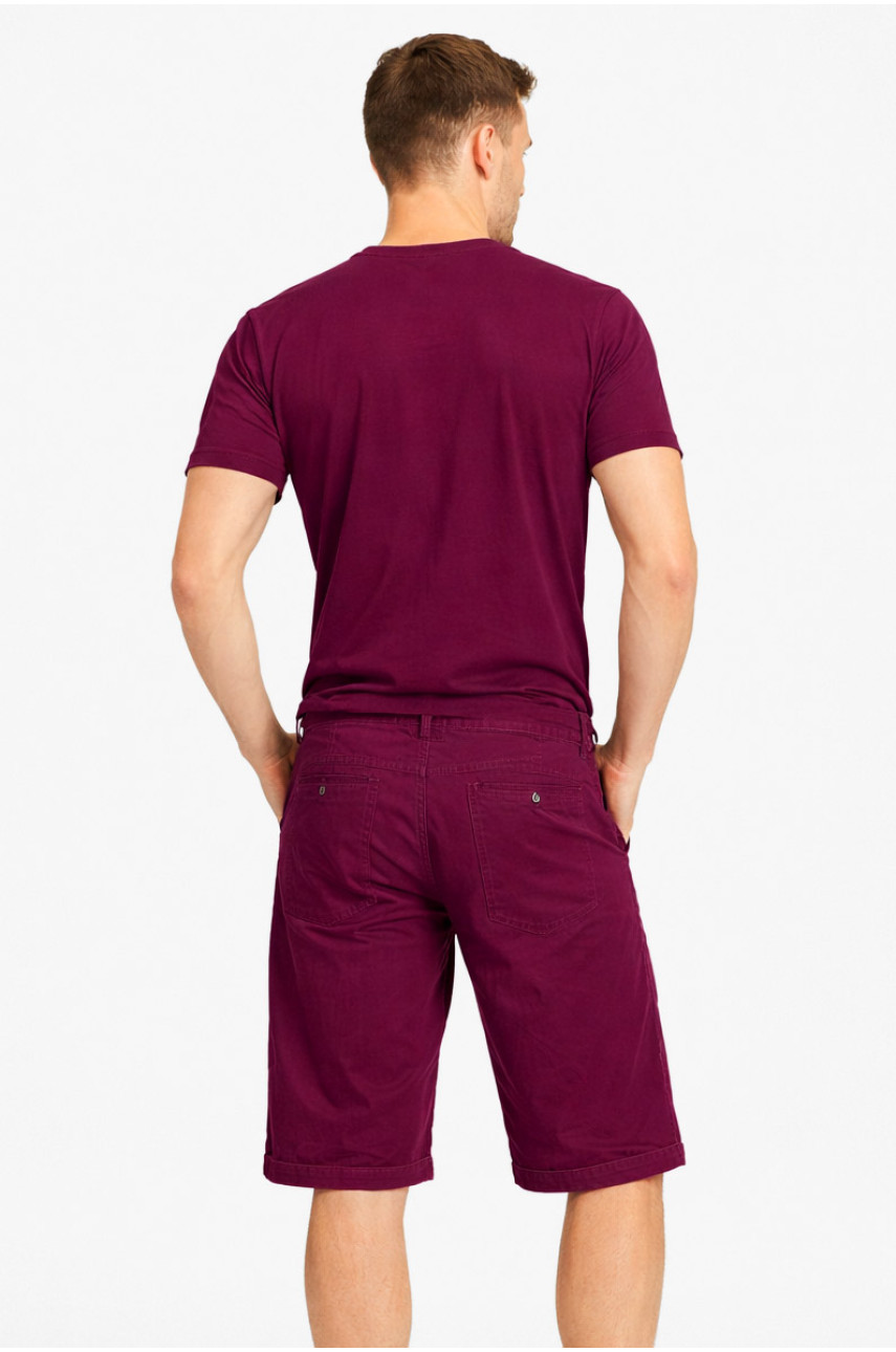 Бриджи мужские микровельветовые тёмно-фиолетового цвета LS14-0019X 212877