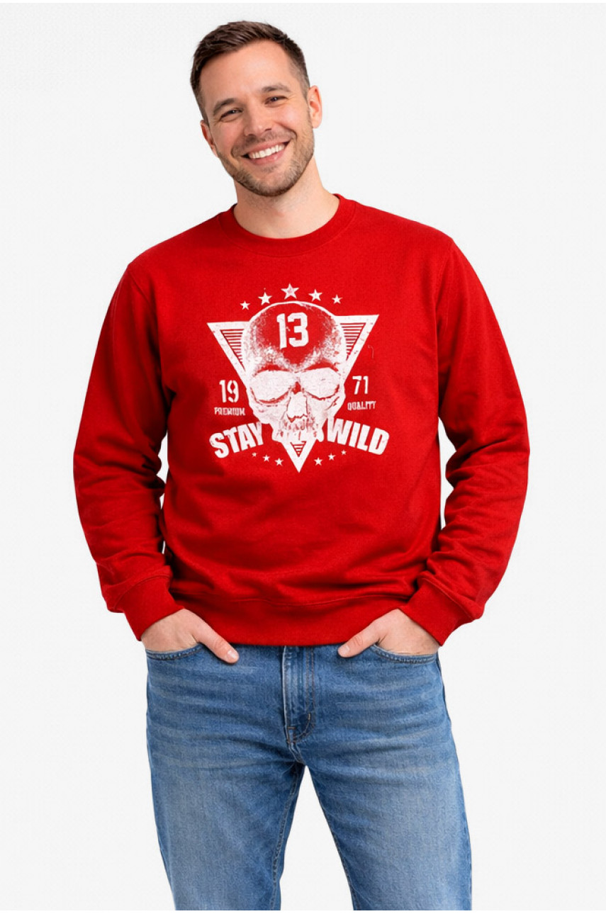 Свитшот мужской красного цвета с принтом 212944