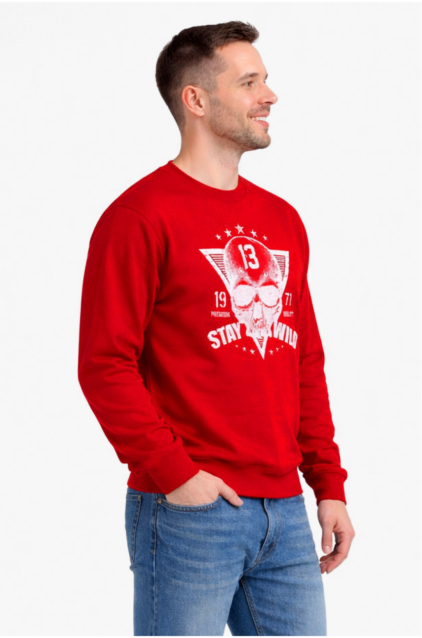 Свитшот мужской красного цвета с принтом 212944