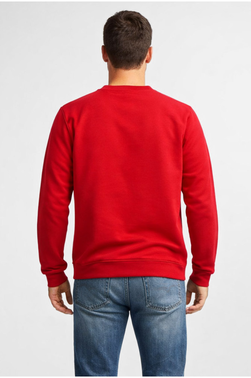 Свитшот мужской красного цвета с принтом 212944
