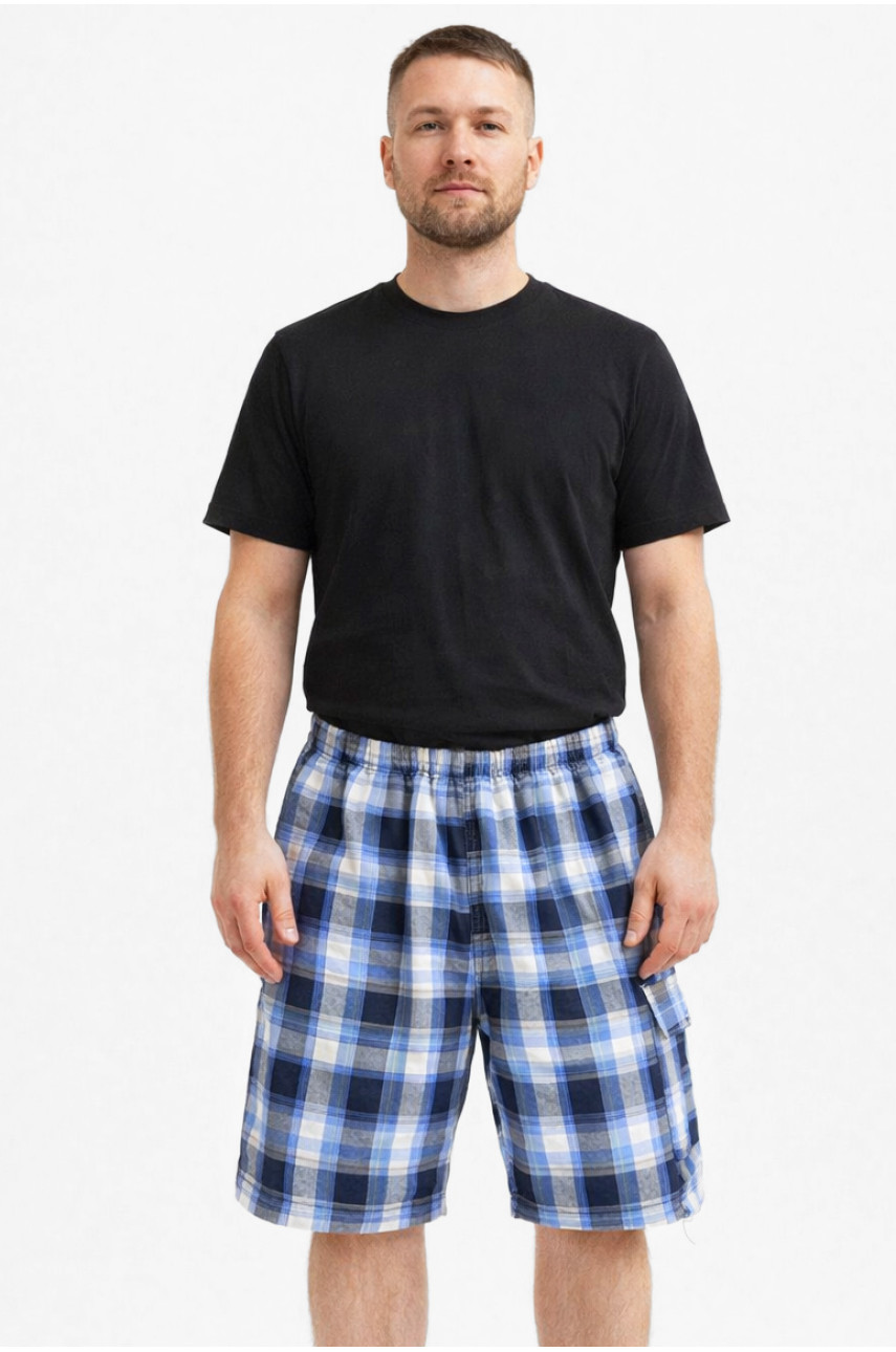 Шорти чоловічі синього кольору з принтом 213112